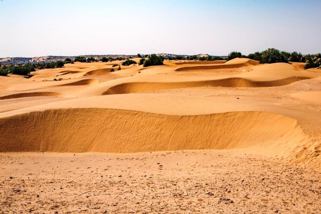 Neem Guest House Jaisalmer Luaran gambar