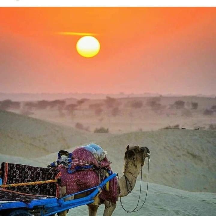 Neem Guest House Jaisalmer Luaran gambar